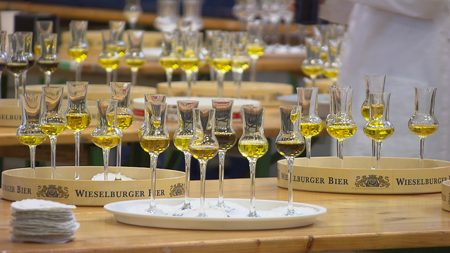 Mehrere Tablets mit bauchig geschwungenen Gläsern. In jedem Glas ist eine goldfarbene Probe Sonnenblumenöls. 