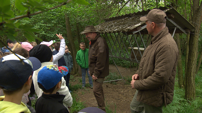Ein Dutzende Volksschulkinder in einem Waldstück. Vor ihnen steht ein Jagdleiter, der erklärt warum Tiere hier gefüttert werden. Kinder stellen Fragen und geben Handzeichen