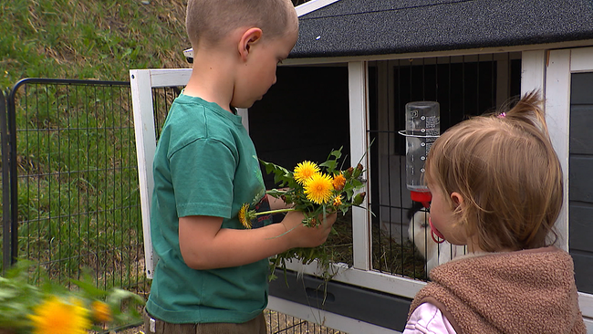 Zwei Kleinkinder stehen vor einer geöffneten Hasenstalltüre, eines hat einen Strauß Wildblumen in der Hand und ist dabei den Hasen im Gehege zu füttern 