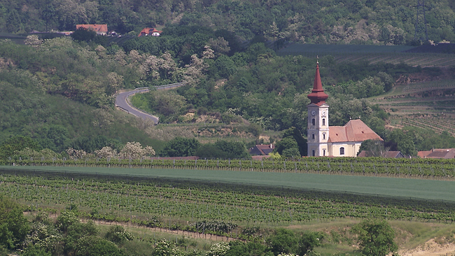 Weinbaugebiet Wagram