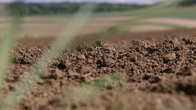 Erde am Feld