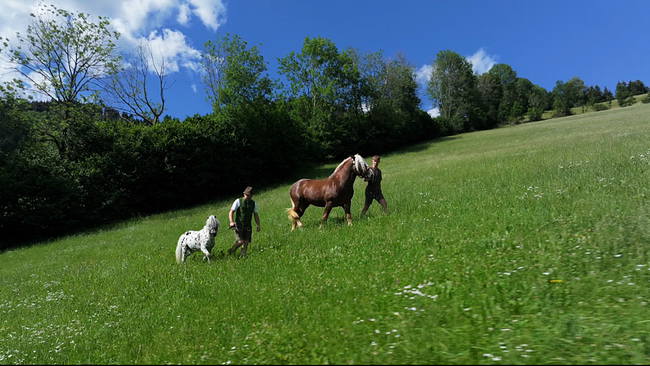 Almenpanorama mit zwei Personen, die auf einem grünen Hand Pferd und Pony auf den Berg begleiten. 