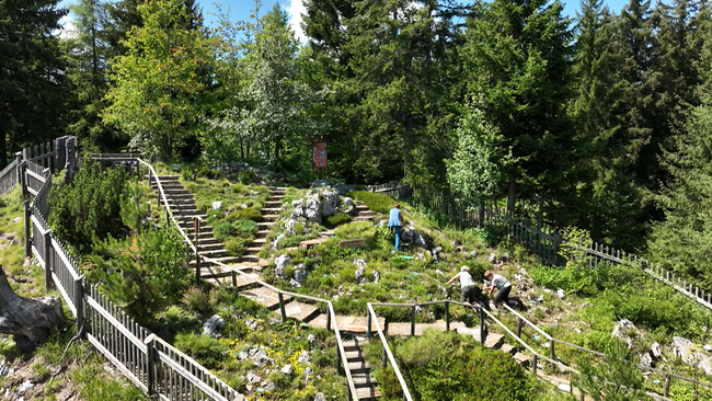 © ORF NÖ Der Alpengarten aus der Vogelperspektive