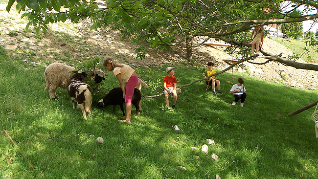 © ORF NÖ Kinder und Schafe auf einer Wiese unter einem Baum