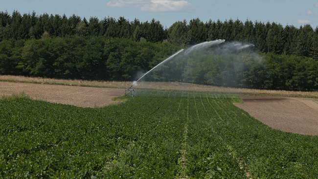 © ORF NÖ Feld mit Pflanzen und Wassersprenger