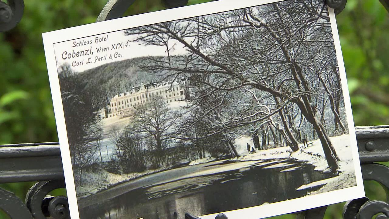 © ORF Der Zauberer vom Cobenzl