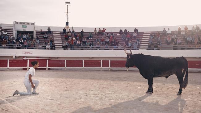FilmTIPP: Animale 3