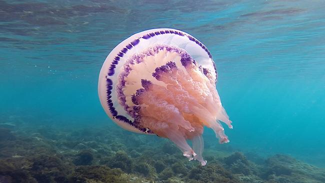 © Elements Of(f) Balance – Othmar Schmiderer FilmTIPP - Elements Of(f) Balance