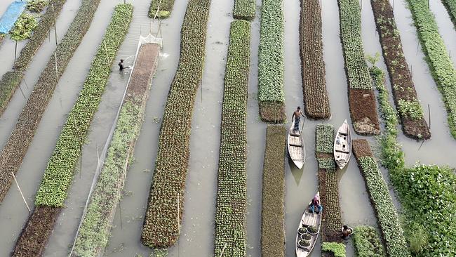 Elements Of(f) Balance