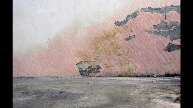 © ORF Ö1 Talentestipendium 2025