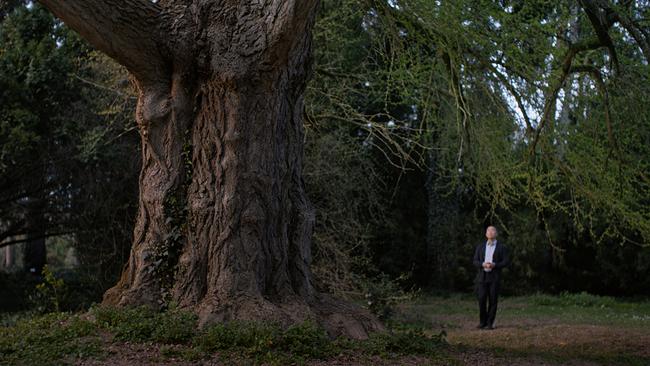 © Pandora Film Silent Friend 2