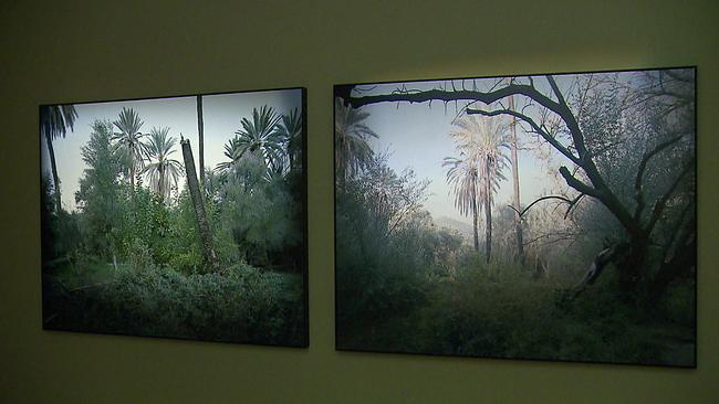 Cockaigne / Naturhistorisches Museum 