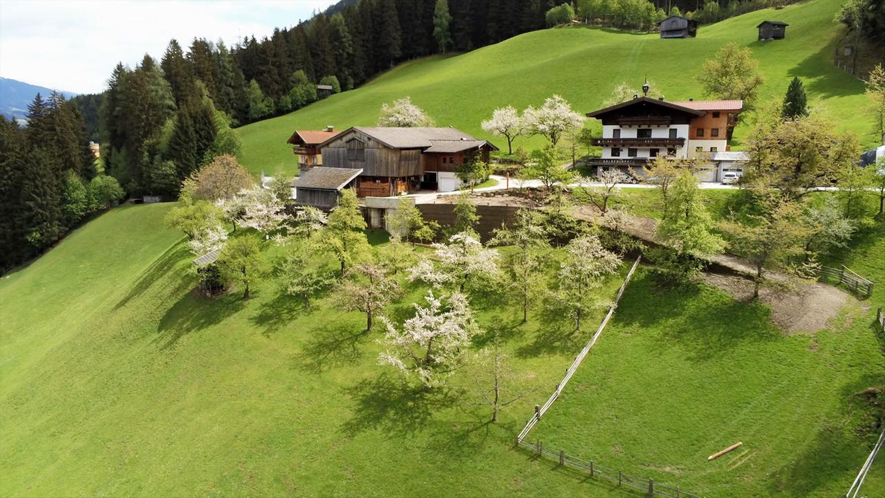 Ein kleines Dorf auf einer grünen Wiese am Berg. 