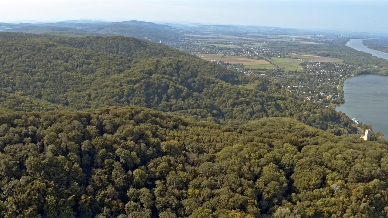 Naturschutzgebiet Wienerwald bei Greifenstein.