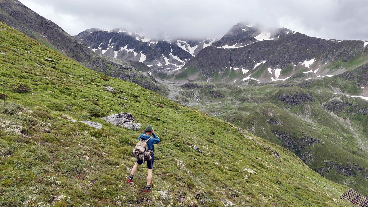 Almgeschichten aus Tirol