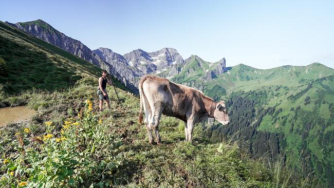 Almgeschichten aus Vorarlberg