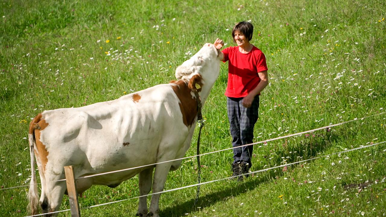 © ORF/embfilm/Dominik Walser Almleben im Karwendel