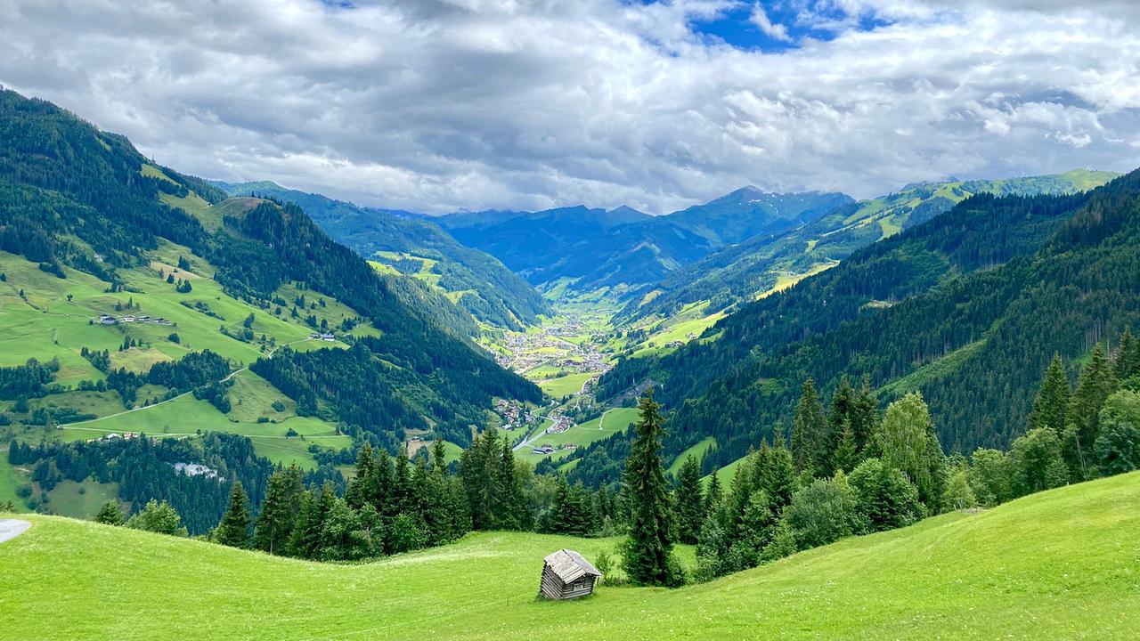 Almsommer in den Hohen Tauern