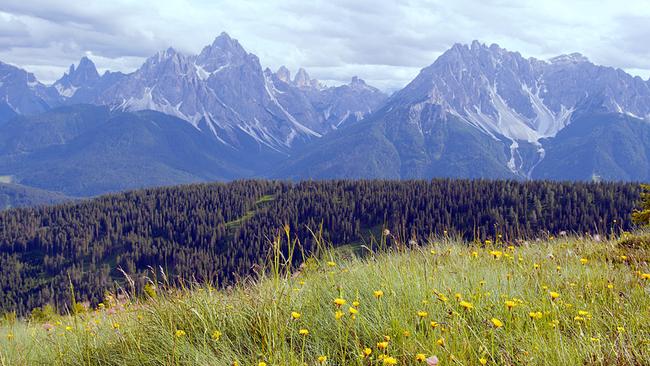 Bergbäuerinnen in Südtirol: Mut und Freude zur Landwirtschaft