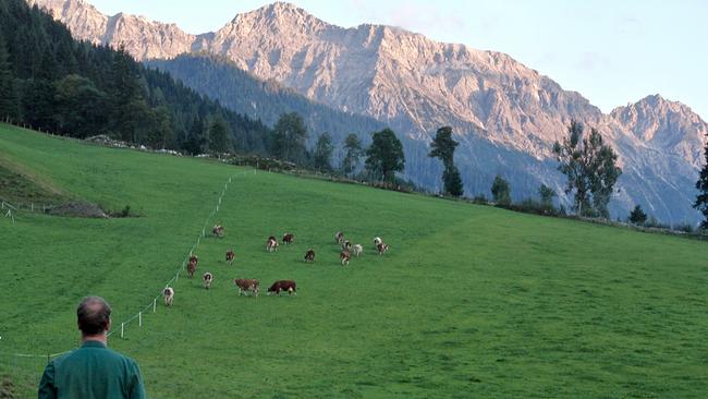 Bergbauernleben im Pongau - Von Wagrain bis Kleinarl