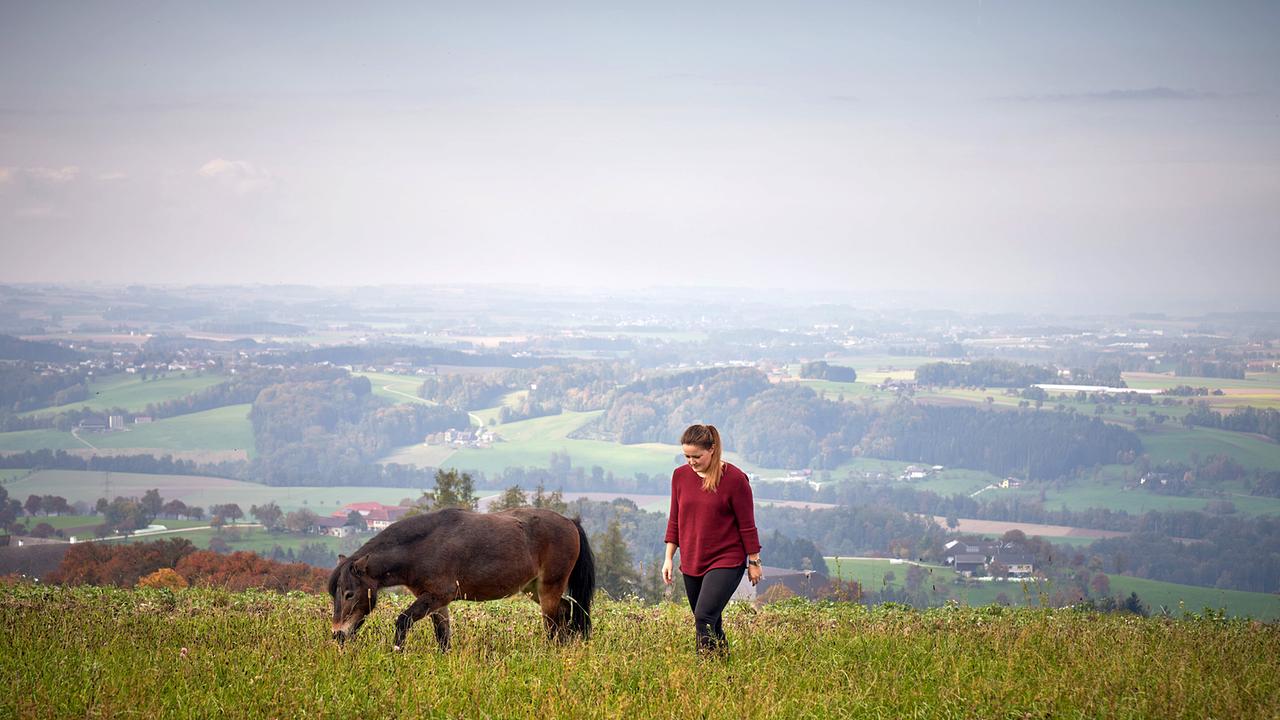Bergbauernleben: Im Traunviertel