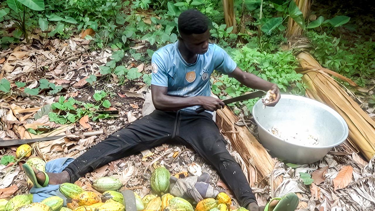 Der Fair-Schmäh - Schokolade aus Österreich