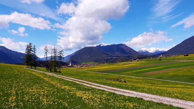 Der grüne Fluss der Alpen