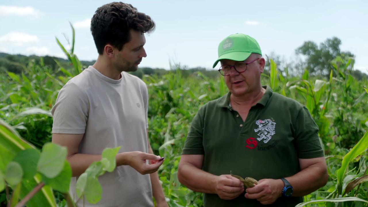 © ORF/Langbein & Partner Der Regional-Schmäh - Die Wahrheit über geschützte Marken