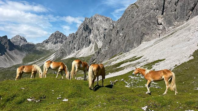 Der Tiroler Adlerweg
