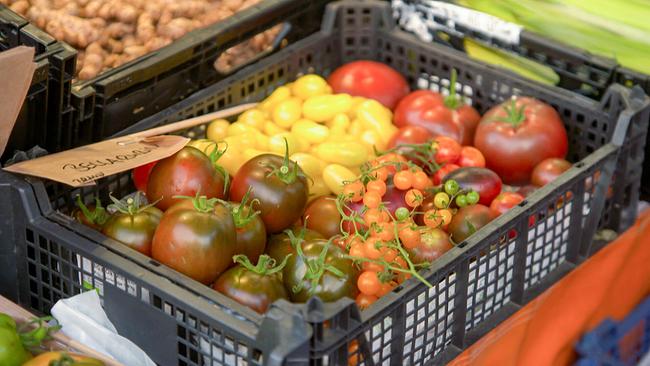 Der Tomaten-Check