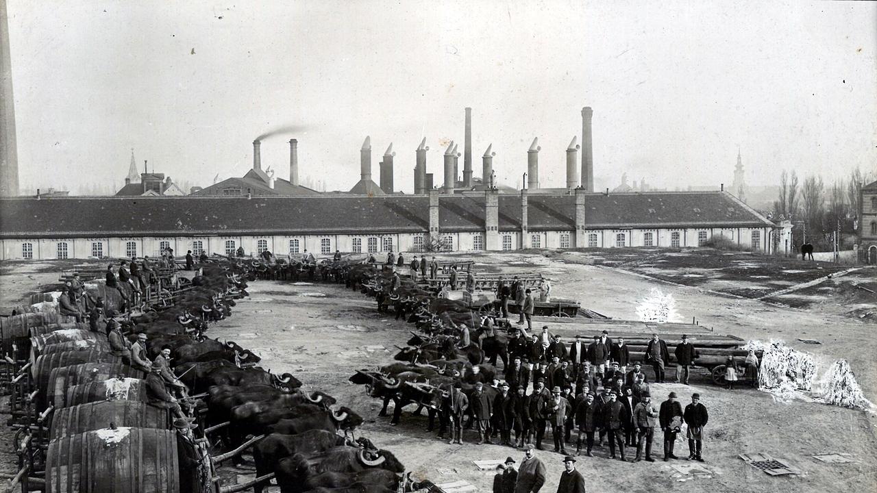 © ORF/FOR TV Erfolgsgeschichten in Rot-Weiß-Rot