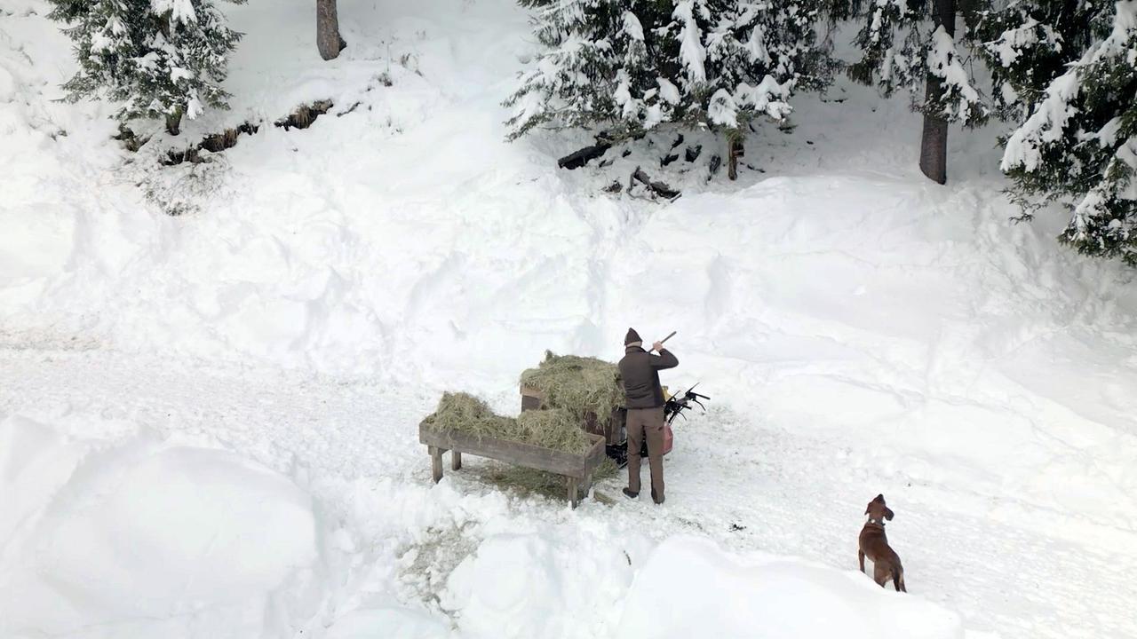 © ORF/Neulandfilm Jäger Anton Hirzinger mit Hund