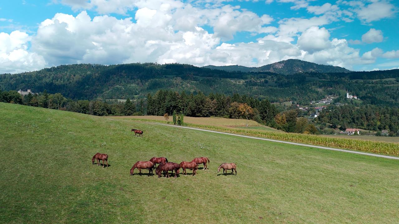 © ORF/PopUp Im Glantal