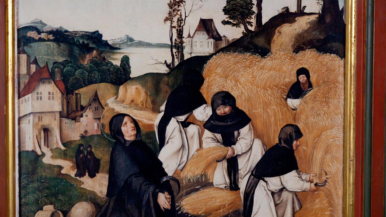 Land der Teiche – die Kultivierung des Waldviertels