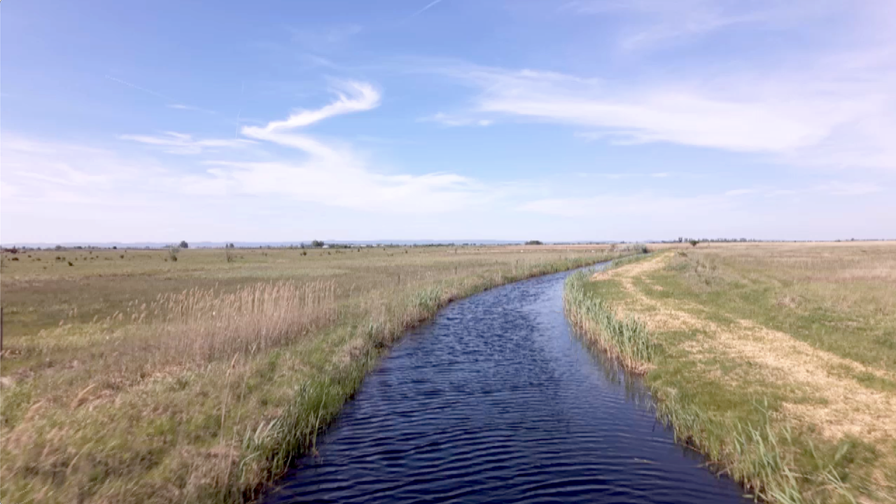 © Popupmedia Neusiedlersee Damm