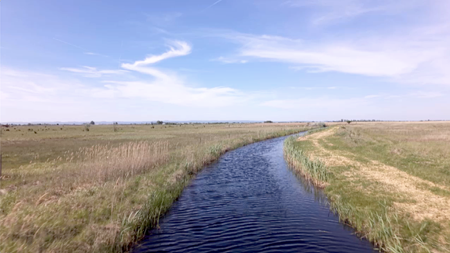 Neusiedlersee Damm