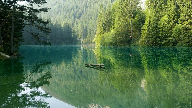 Leben am Grünen See