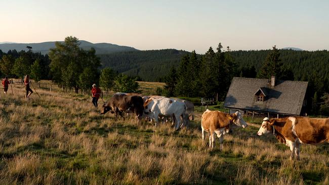 © ORF/RANFILM Leben im Lavanttal