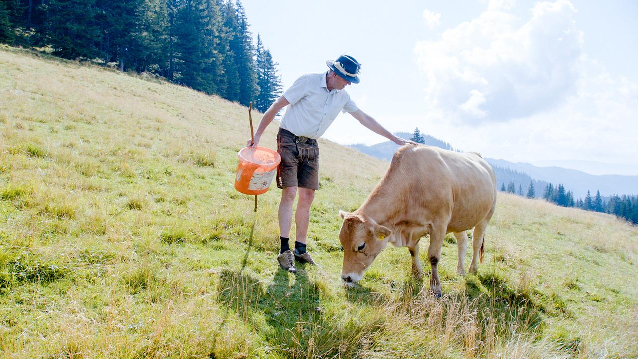 Obersteirische Almen