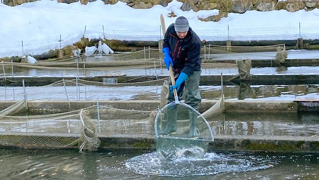 © ORF/WOLFGANG SCHERZ/Sorger Bernhard Häusler / Karlwirt bei Fischereiarbeit im Winter