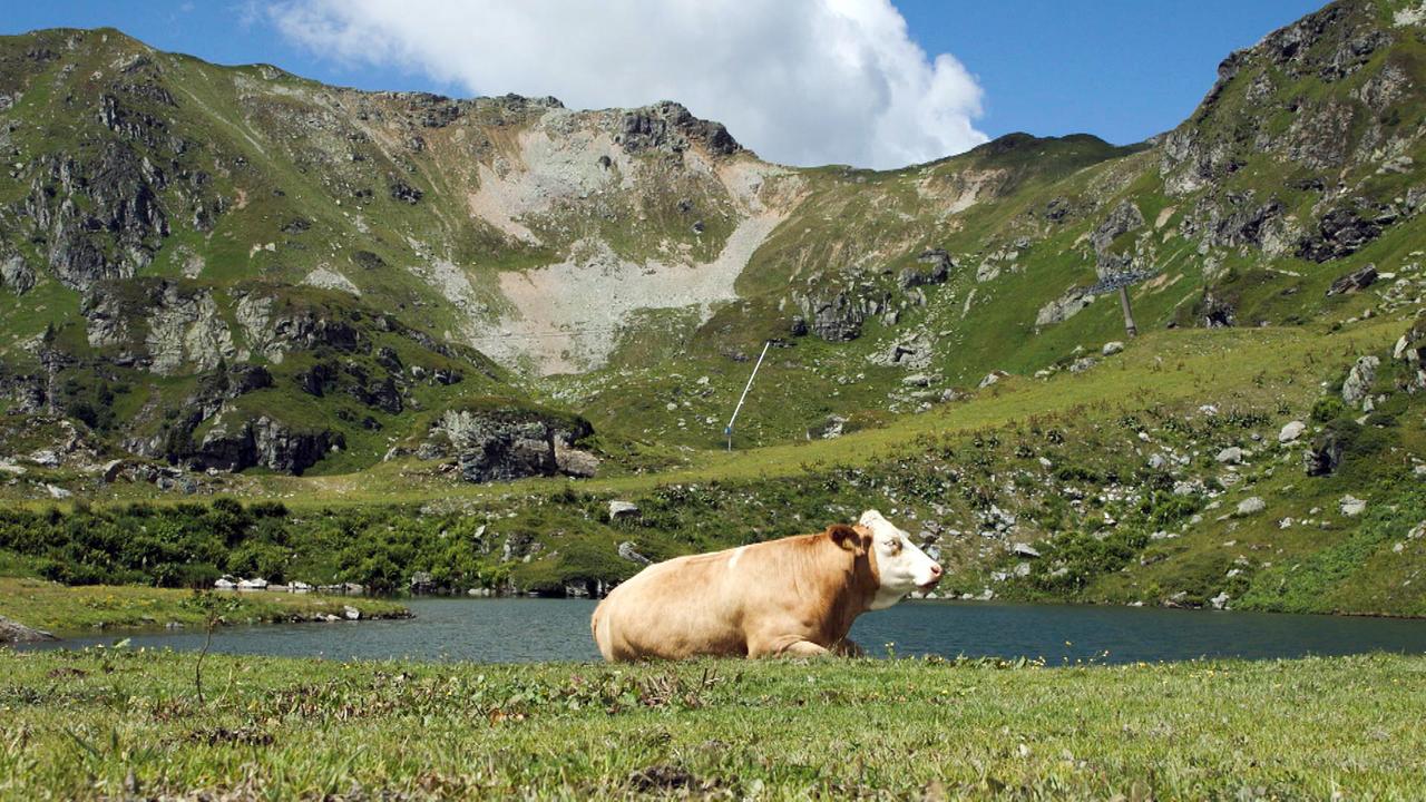 © ORF/POPUP Grünwaldsee in den Obertauern