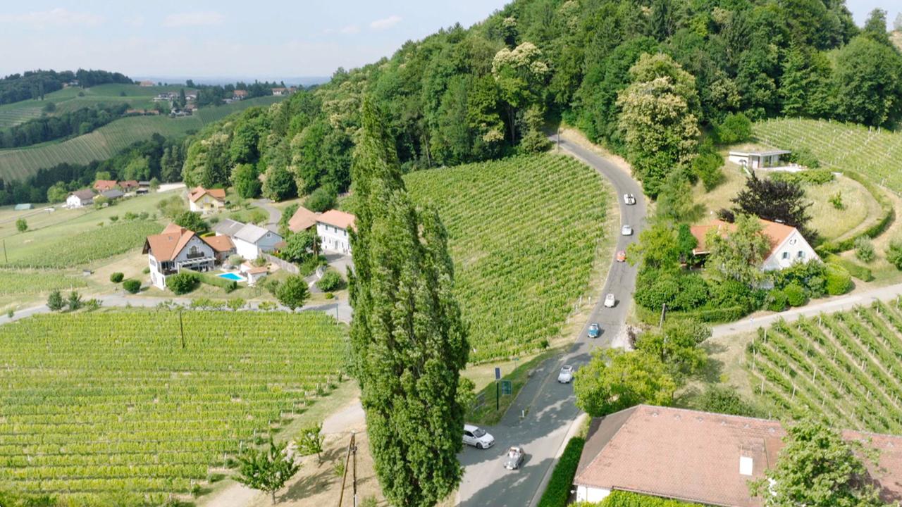 Südsteirische Träume