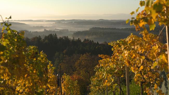 Vom Schilcherland ins Wechselland