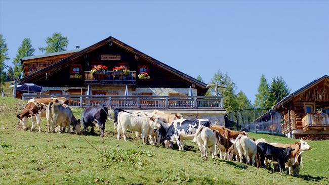 Vom Tennengau ins Kleinarltal