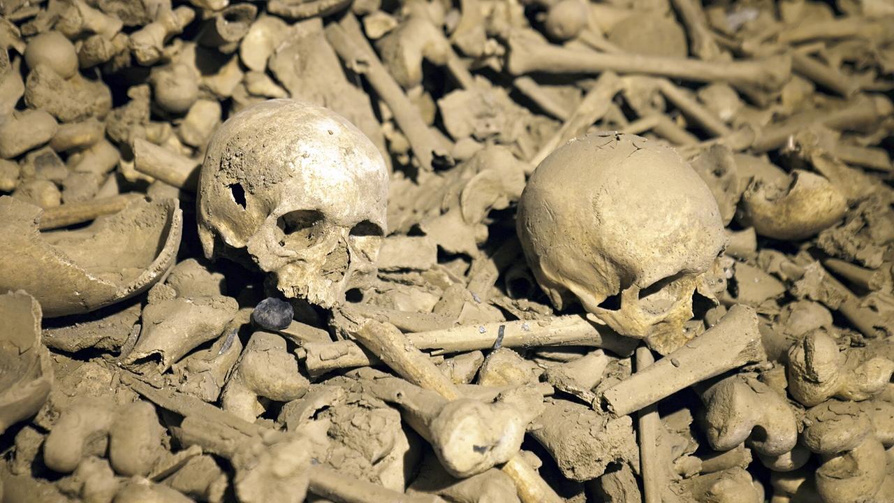 © ORF/Pammer Film Wiens verschwundene Gräber