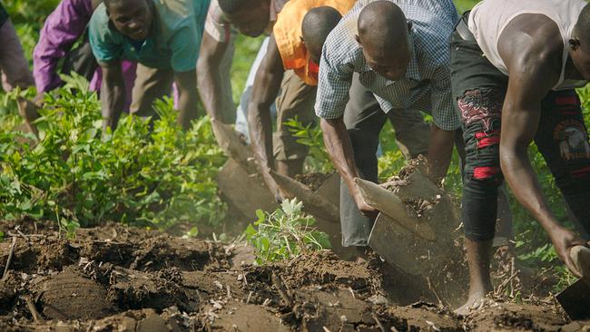 Ackerbewirtschaftung für "Afrikas Grüne Mauer"