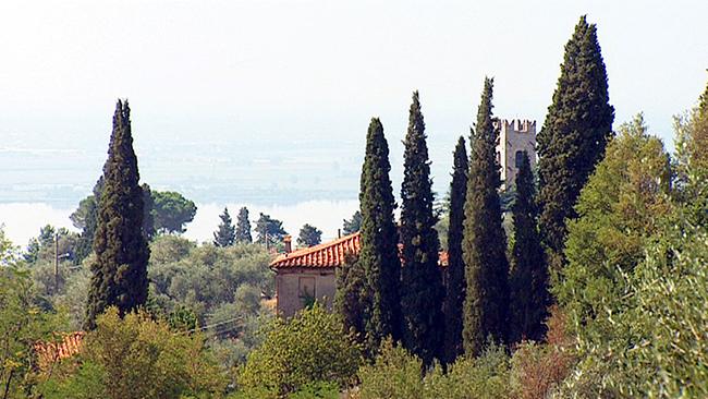 Blick auf Torre del Lago