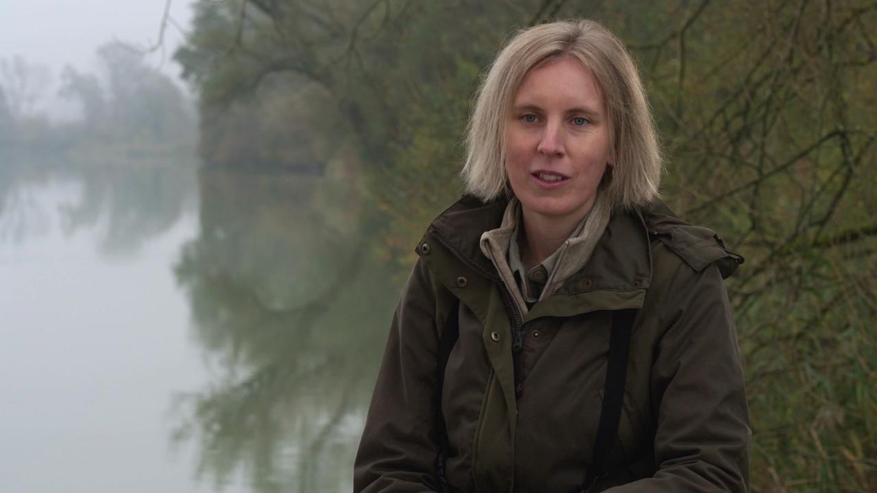 © Satel/ORF Hobbyornithologin Lisa Fuchs sitzt am Ufer des Inns vor Bäumen im Nebel