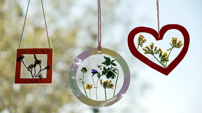 Drei getrocknete Blumenbilder zum Muttertag