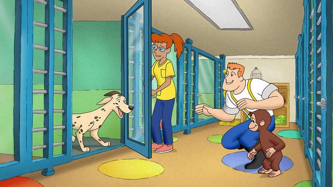 Coco, der neugierige Affe